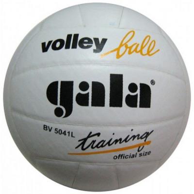 Волейбольный мяч Gala BV5041L