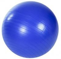 Мяч гимнастический  Housefit